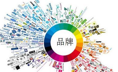 志卓科技 以定制化服務為引擎，驅動技術推廣與品牌價值共贏