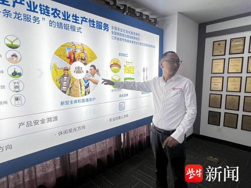 數智養豬場 AI管家全天候守護，教育咨詢開啟智能養殖新篇章