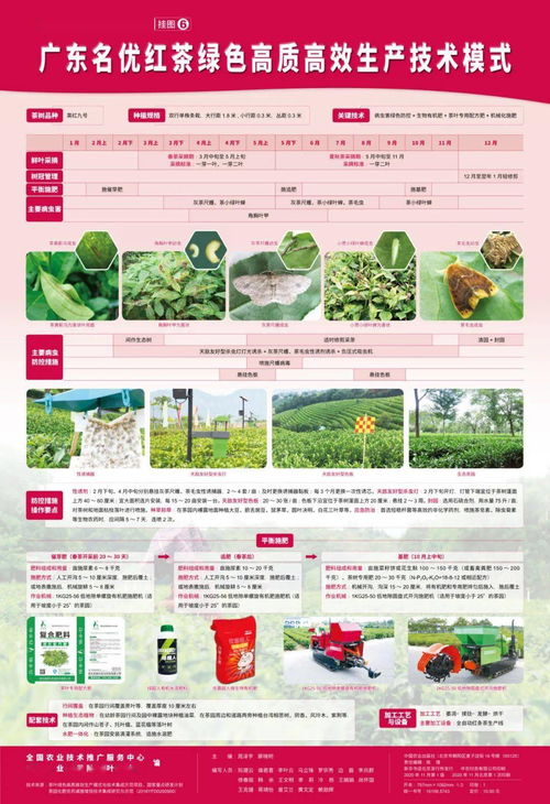 茶葉綠色高質高效生產模式 圖文并茂，一學就會